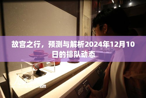 故宫之行，揭秘2024年12月10日排队动态预测与解析