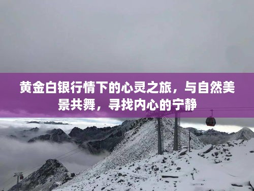 黄金白银行情下的心灵之旅，与自然共舞，探寻内心宁静