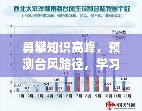 勇攀知识高峰，预测台风路径，学习变化助力无限可能探索