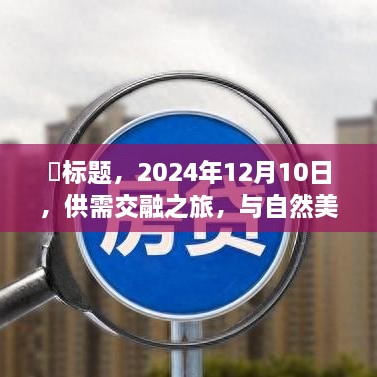 启程！与自然美景的不解之缘——2024年12月10日供需交融之旅