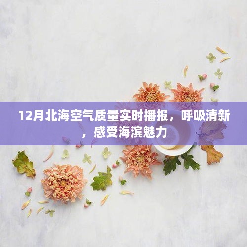 12月北海空气质量实时播报，呼吸清新，海滨魅力尽享其中