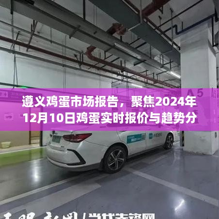 遵义鸡蛋市场报告，实时报价与趋势分析（聚焦2024年12月10日）