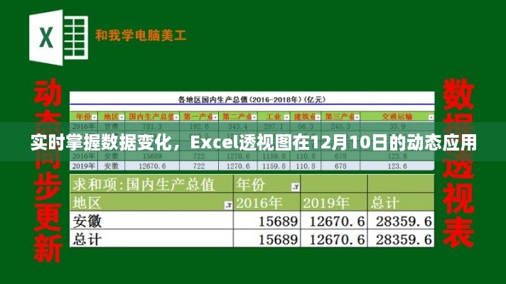 Excel透视图实时应用，掌握数据动态变化于12月10日