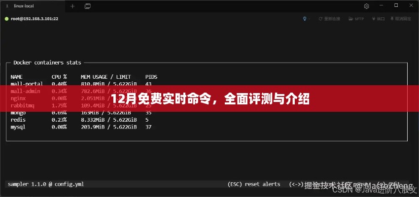 12月免费实时命令详解与全面评测