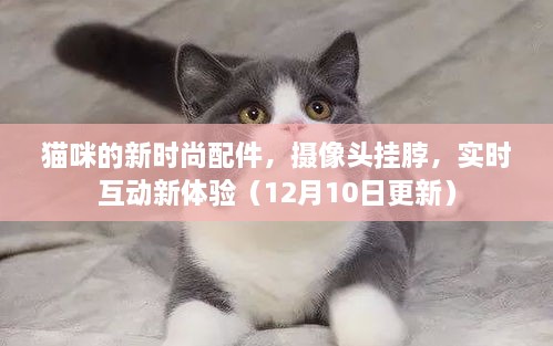 猫咪时尚新潮流，摄像头挂脖，体验实时互动新纪元（更新版）