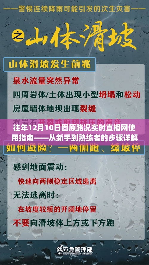 往年12月10日固原路况实时直播网使用指南，从新手到熟练者的全面教程