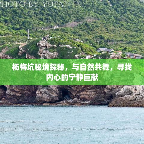 杨梅坑秘境探秘，与自然共舞，寻觅内心宁静之旅