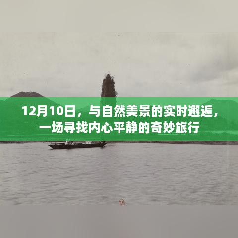 12月10日，与自然美景的邂逅，寻找内心平静的奇妙旅程