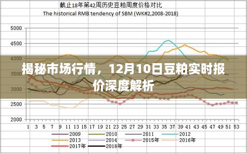 揭秘市场行情，豆粕实时报价深度解析（12月10日）