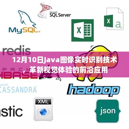 12月10日Java图像实时识别技术，革新视觉体验的前沿应用探索