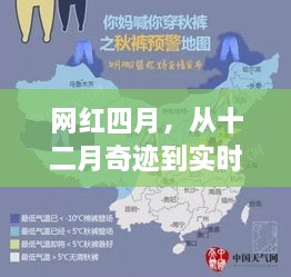 网红四月，从十二月奇迹到实时热度的蜕变之路