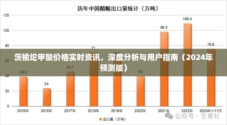 茨榆坨甲酸价格实时资讯深度解析与预测，用户指南（2024版）