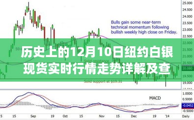 纽约白银现货行情解析，历史走势、实时行情查询指南（初学者与进阶用户必备）