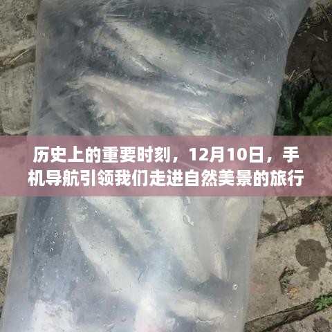 12月10日，手机导航引领自然美景之旅的历史性时刻