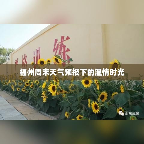 福州周末天气预报下的温馨时光