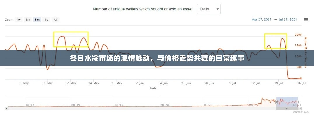 冬日水冷市场的温情脉动，价格走势下的日常趣事与机遇