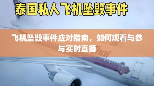 飞机坠毁事件应对指南，如何观看与参与实时直播求助信息解读及应对建议