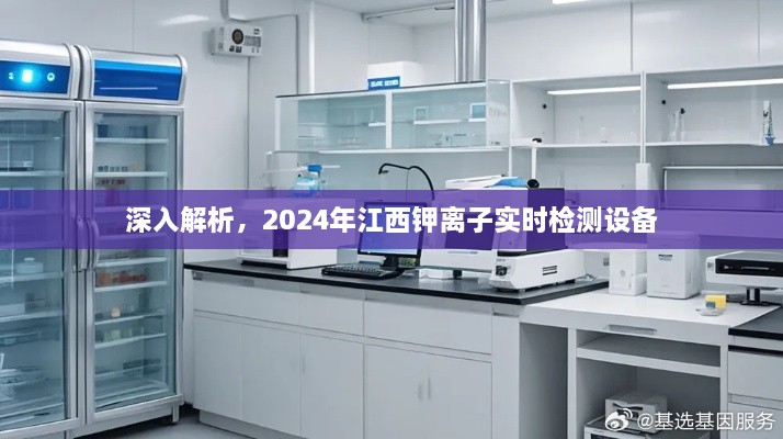 2024年江西钾离子实时检测设备深度解析