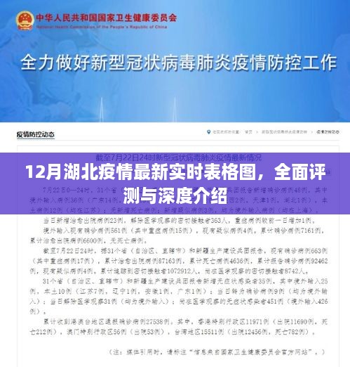 湖北疫情最新实时表格图全面解读与深度介绍