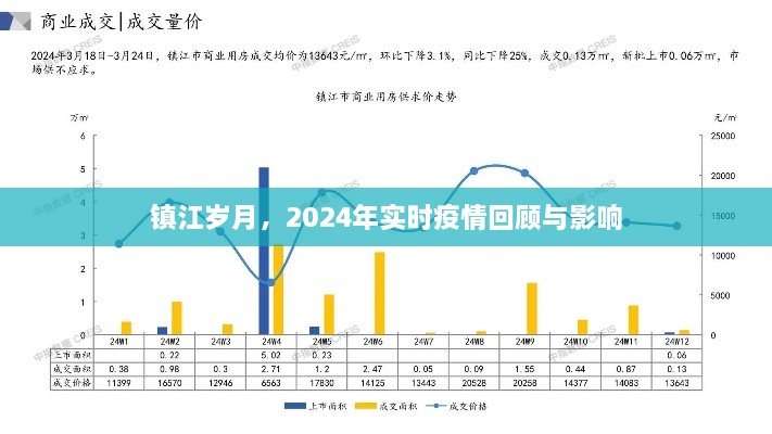 镇江岁月，2024年疫情回顾与影响分析