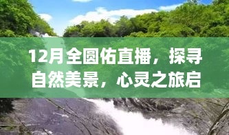 全圆佑12月直播之旅，自然美景探寻与心灵启程