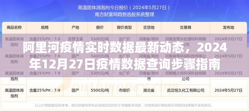 阿里河疫情最新实时数据动态及查询步骤指南（2024年12月27日）