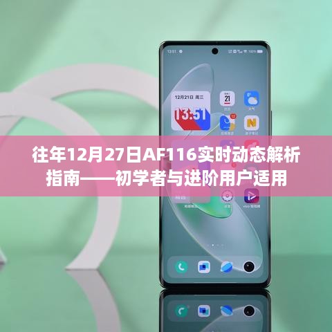 AF116实时动态解析指南，适合初学者与进阶用户的指南（往年12月27日版）