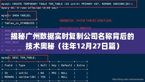 揭秘广州数据实时复制公司背后的技术秘密（深度解析）