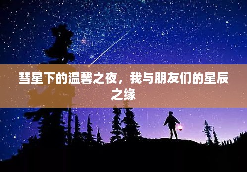 彗星下的温馨之夜，星辰之缘的友谊之旅