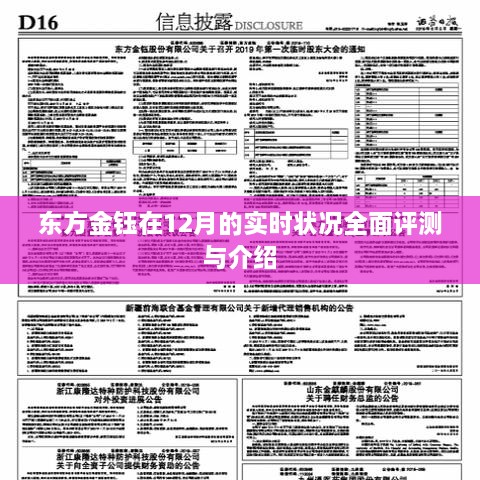 东方金钰12月实时状况全面解析与介绍