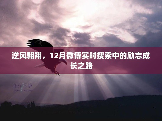 逆风翱翔，励志成长之路在12月微博实时搜索中绽放光彩