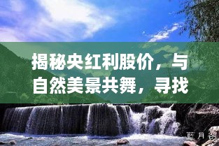 揭秘央红利股价背后的故事，与自然共舞，寻找内心的平和宁静