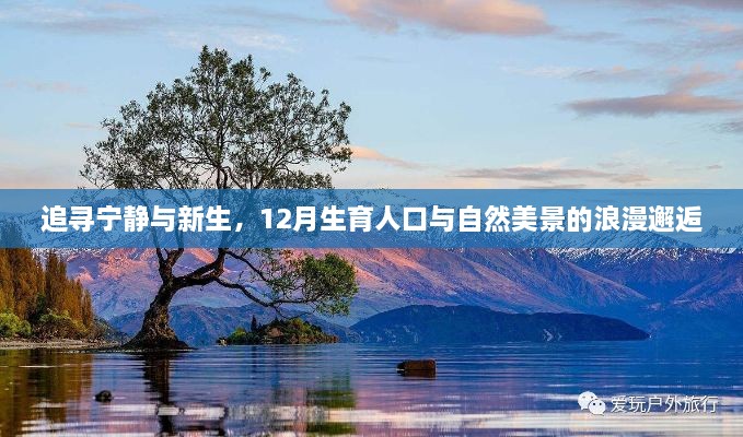 12月生育人口与自然美景的浪漫邂逅，追寻宁静与新生之旅