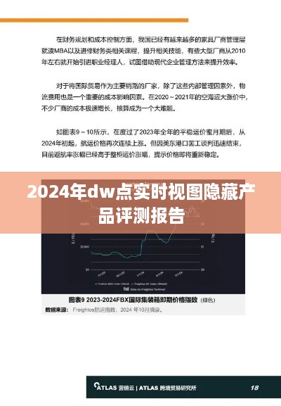 揭秘隐藏产品，DW点实时视图评测报告（2024版）