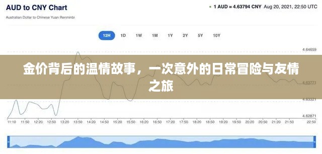 金价背后的温情与日常冒险之旅