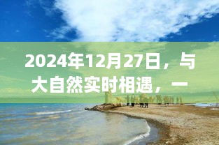 寻找内心平静的旅程，与大自然实时相遇的2024年12月27日体验