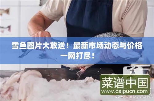 雪鱼图片大放送！最新市场动态与价格一网打尽！