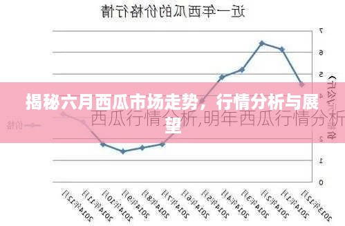 揭秘六月西瓜市场走势，行情分析与展望