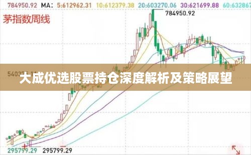 大成优选股票持仓深度解析及策略展望