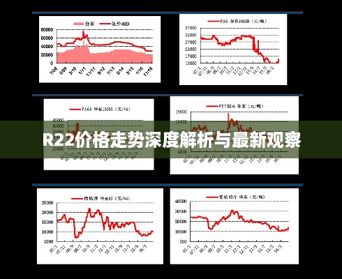 R22价格走势深度解析与最新观察