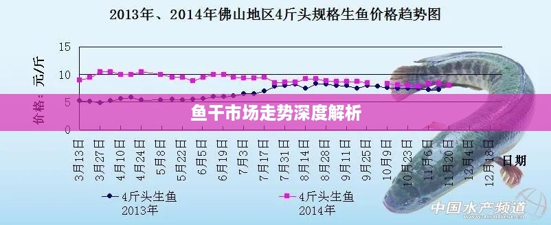 鱼干市场走势深度解析