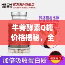 牛蒡酵素Q糖价格揭秘，全面了解价格及相关解析