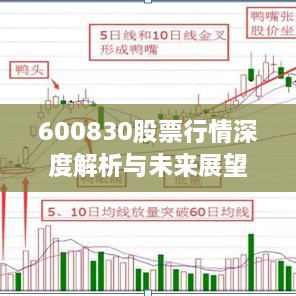 600830股票行情深度解析与未来展望