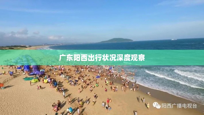 广东阳西出行状况深度观察