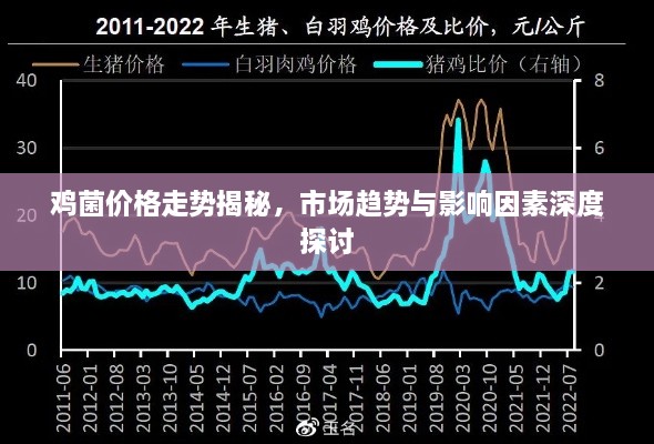 鸡菌价格走势揭秘，市场趋势与影响因素深度探讨