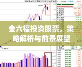 金六福投资股票，策略解析与前景展望