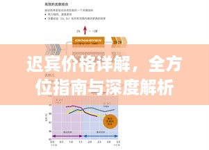 迟宾价格详解，全方位指南与深度解析