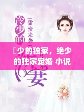 濹少的独家，绝少的独家宠婚 小说 