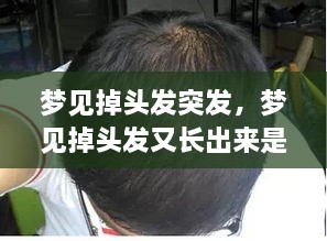 梦见掉头发突发，梦见掉头发又长出来是什么征兆 