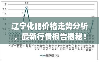 辽宁化肥价格走势分析，最新行情报告揭秘！